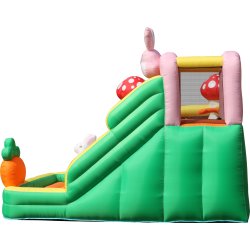 Doctor Dolphin Rabbit Hoppeborg