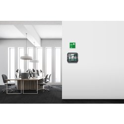 Housegard Øjenskylle-station