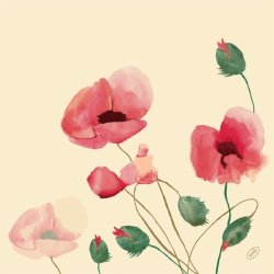 Dunisoft Middagsservett, Poppy Charm, 60 st.