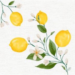 Dunisoft Middagsservett, Lemon Fiesta, 60 st.