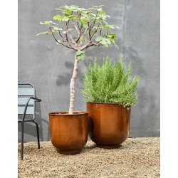 House Doctor Cove Urtepotter, brun, 2 stk