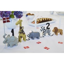 Kids by Friis Fødelsdagstog safari