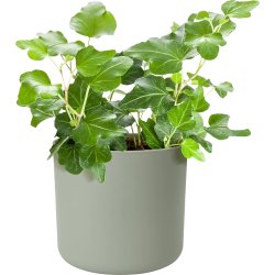 Elho B.for Soft Blomsterkrukke, 14 cm, stone green