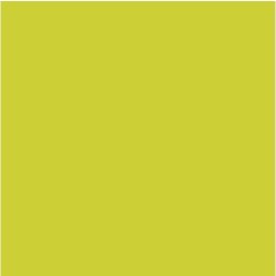 Servett 3-lags 24x24cm kiwi 250/fp