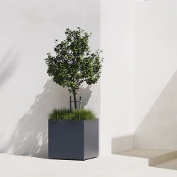 Herstera Plantekrukke, ude, sort, 50x50x50