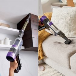 Shark Støvsuger - IP3251EUT, 0,7l, Guld