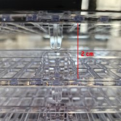 RAW Dehydrator, 6 hylder