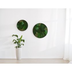 Mosbillede Mix 013, Ø60 cm, m/sort træramme