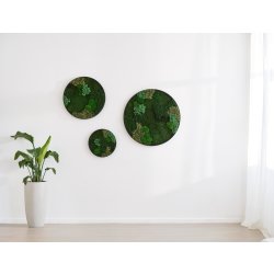 Mosbillede Mix 013, Ø70 cm, m/sort træramme