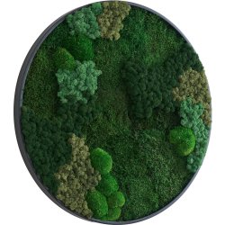 Mosbillede Mix 013, Ø70 cm, m/sort træramme