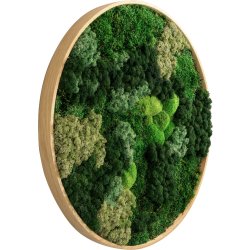 Mosbillede Mix 013 Ø50 cm, m/egetræsramme