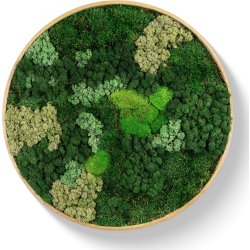 Mosbillede Mix 013 Ø50 cm, m/egetræsramme