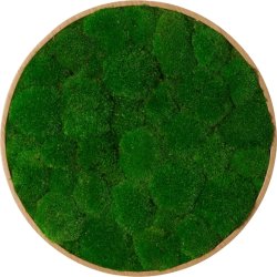 Pudemosbillede Ø60 cm, m/egetræsramme