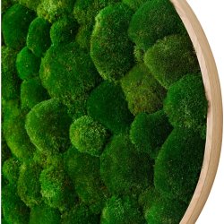 Pudemosbillede Ø60 cm, m/egetræsramme