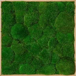 Pudemosbillede, 50x50 cm, m/egetræsramme