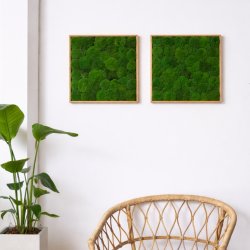 Pudemosbillede, 50x50 cm, m/egetræsramme