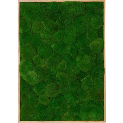 Pudemosbillede, 50x70 cm, m/egetræsramme