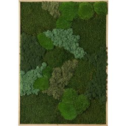 Mosbillede Mix 013, 50x70 cm, m/egetræsramme