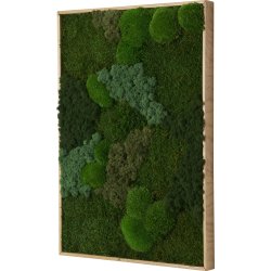 Mosbillede Mix 013, 70x100 cm, m/egetræsramme