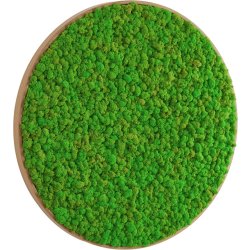Rensdyrmosbillede Ø50 cm, m/egetræsramme
