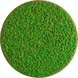 Rensdyrmosbillede Ø40 cm, m/egetræsramme