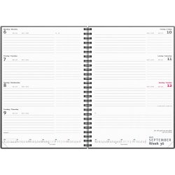 Mayland 2027 Kalender, International, gen.karton