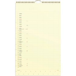 Mayland 2027 Vægkalender, Color, stor