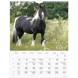 Mayland 2027 Vægkalender, heste