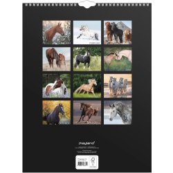 Mayland 2027 Vægkalender, heste