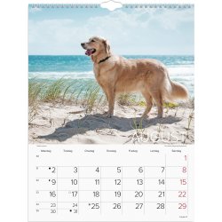 Mayland 2027 Vægkalender, hunde
