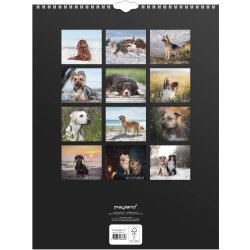 Mayland 2027 Vægkalender, hunde