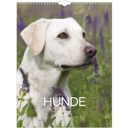 Mayland 2027 Vægkalender, hunde