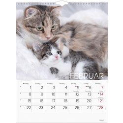 Mayland 2027 Vægkalender, katte