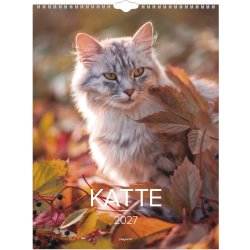 Mayland 2027 Vægkalender, katte
