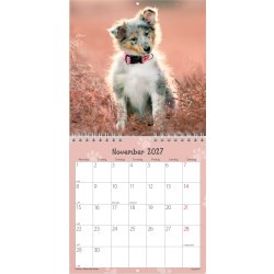 Mayland 2027 Vægkalender, Mini, hundehvalpe