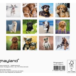 Mayland 2027 Vægkalender, Mini, hundehvalpe