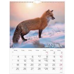 Mayland 2027 Vægkalender, verdens dyr