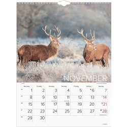 Mayland 2027 Vægkalender, verdens dyr