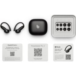 Apple Beats Powerbeats Pro 2, sort