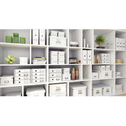 Leitz Click & Store opbevaringsboks medium, sort