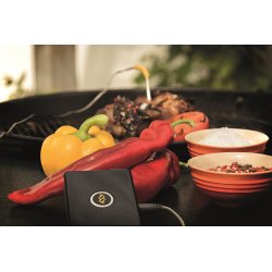 WeGrill Bluetooth Grill Thermometer