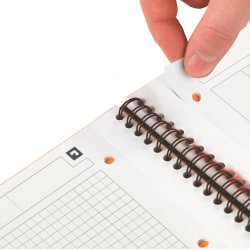 Oxford International kollegieblok A4+, linjeret