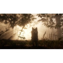 Red Dead Redemption 2 til PS4