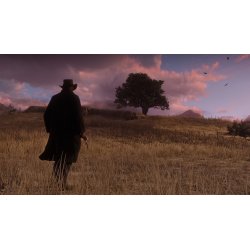 Red Dead Redemption 2 til PS4