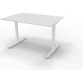 InLine hæve/sænkebord 120x80 hvid/hvid