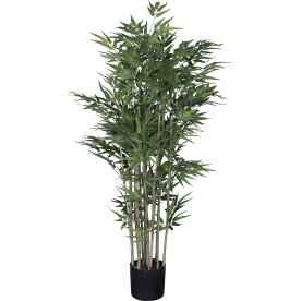 Bambus, H150 cm