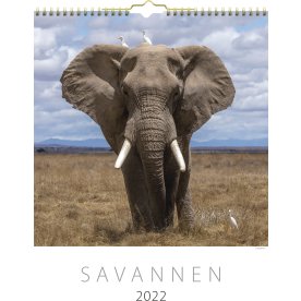 Mayland 2022 Vægkalender | Savannen