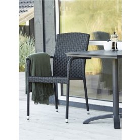 Anita havestol, Sort