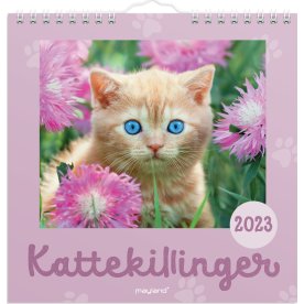 Mayland 2023 Vægkalender | Kattekillinger