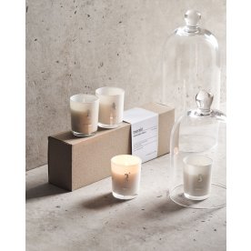 Meraki Adventlys med duft, Frozen Meadow 4 stk.
